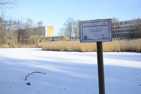 Skilt med "Færdsel på isen forbudt" på søen foran boligblokke